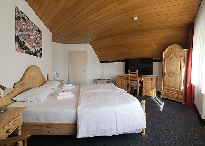 Hirsch 3* Günzburg