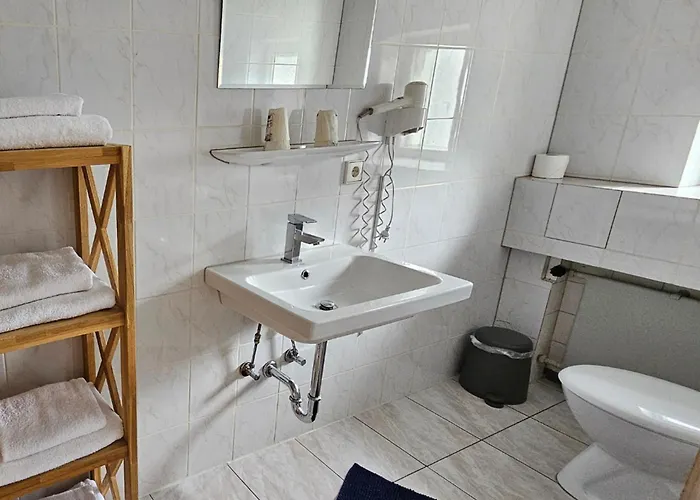 Hotel Hirsch 3*