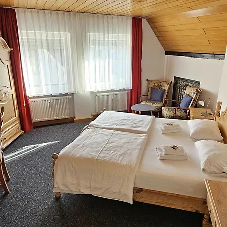 Hotel Hirsch Guenzburg